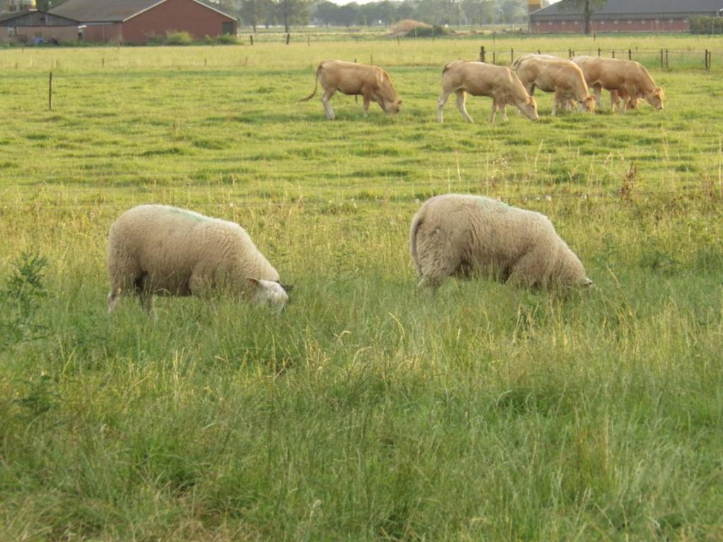 Landrust Appartement Horssen Buitenkant foto